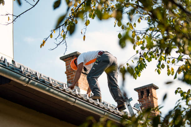 Best Roof Maintenance Services  in Mascoutah, IL